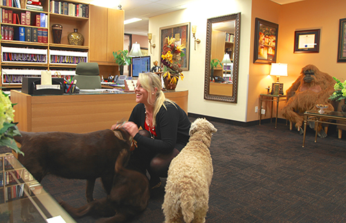 La secrétaire Amanda Johnston s'amuse avec les chiens de Me Goldwater